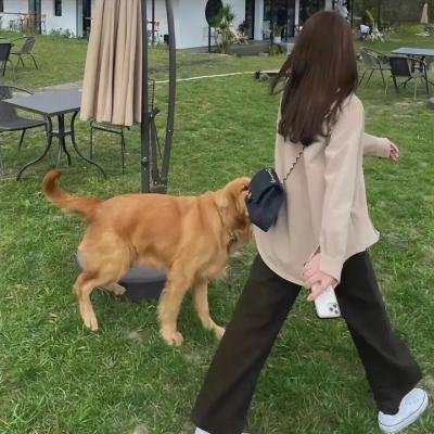 爱会撒谎